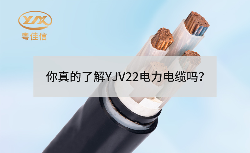 你真的了解YJV22電力電纜嗎？