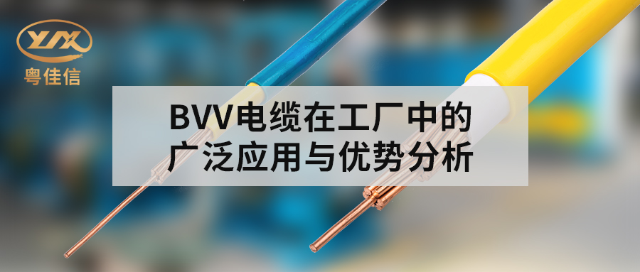 BVV電纜在工廠中的廣泛應(yīng)用與優(yōu)勢(shì)分析